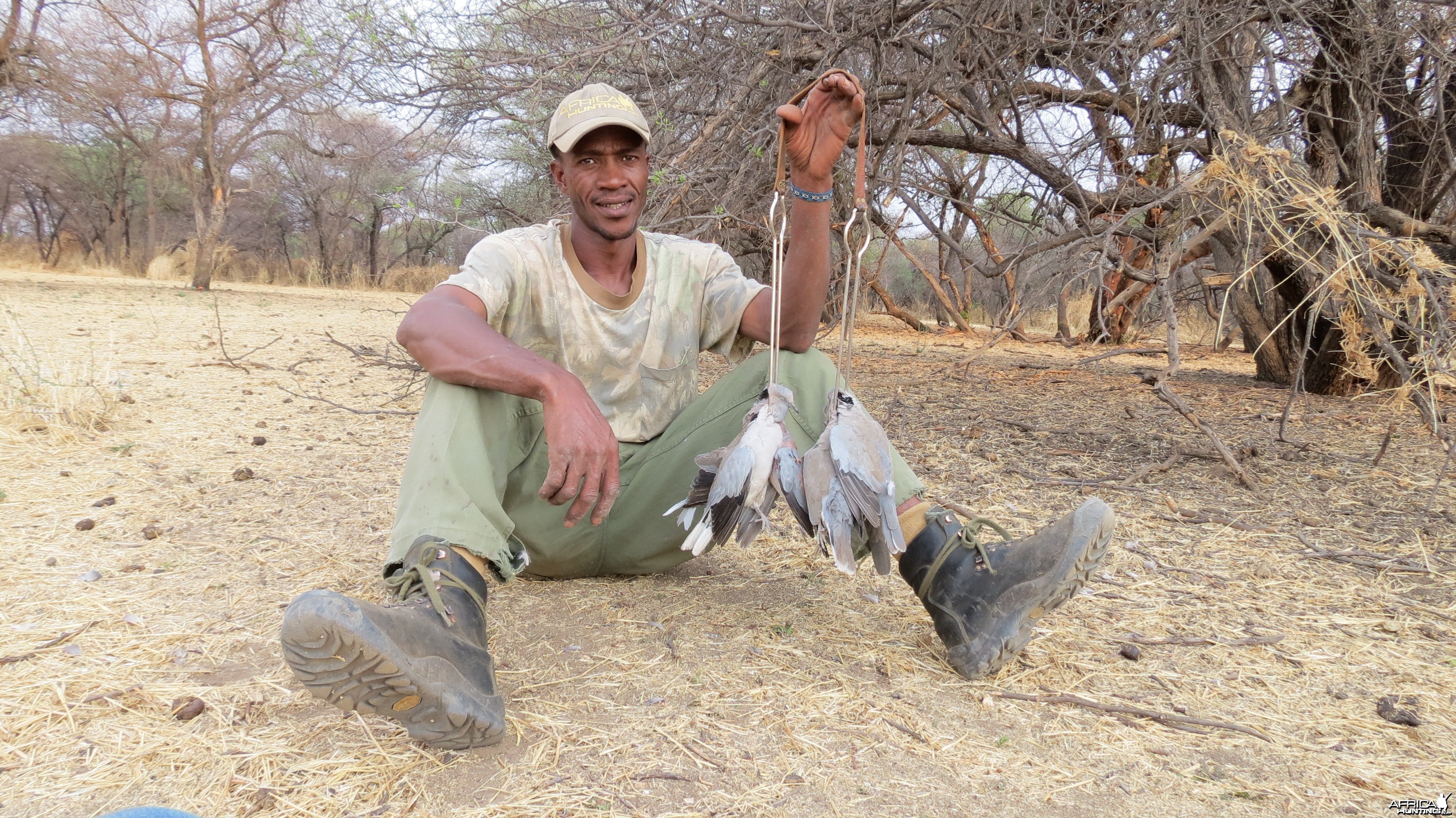 Dove Namibia