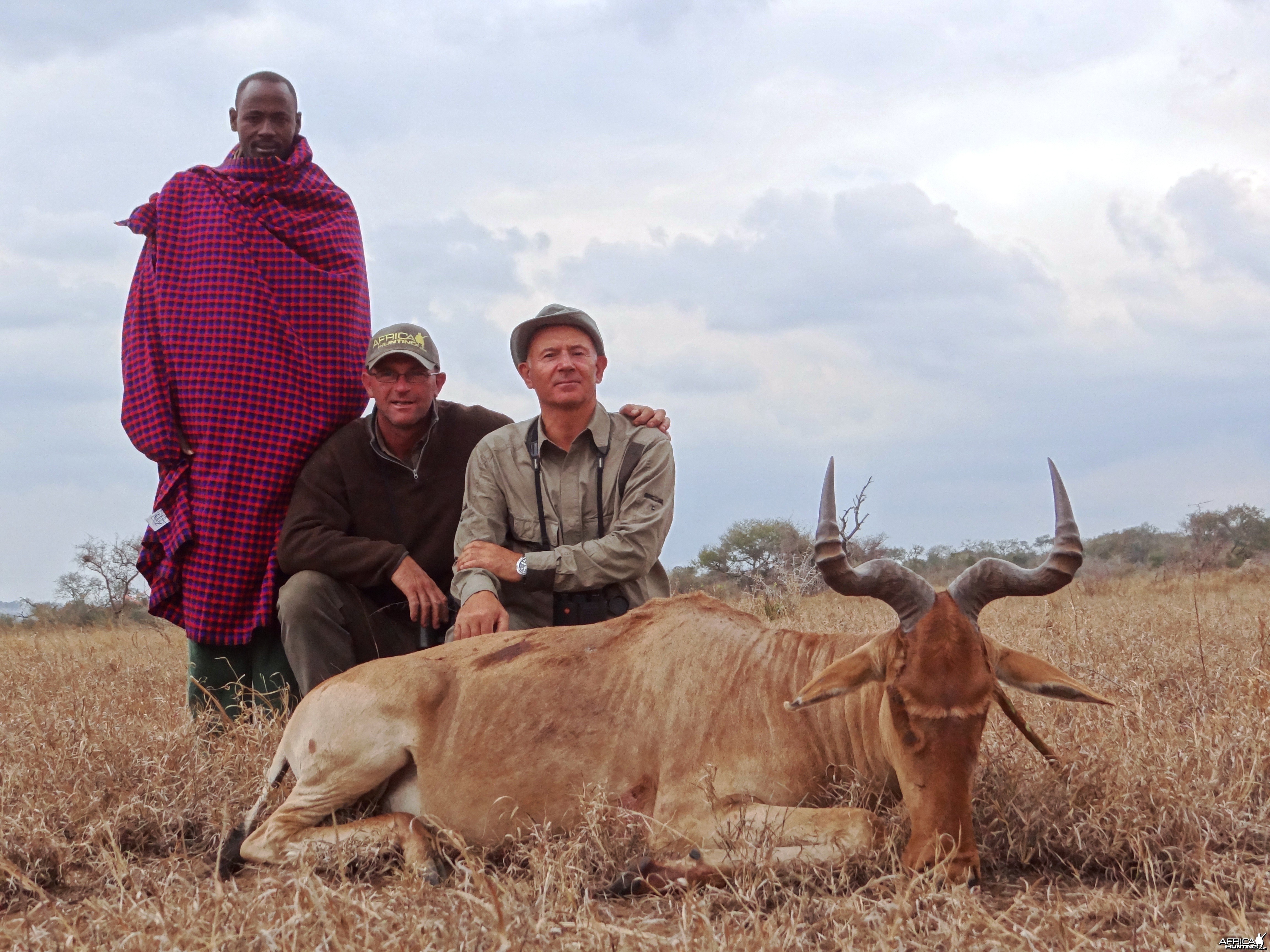 Hunting Coke Hartebeest