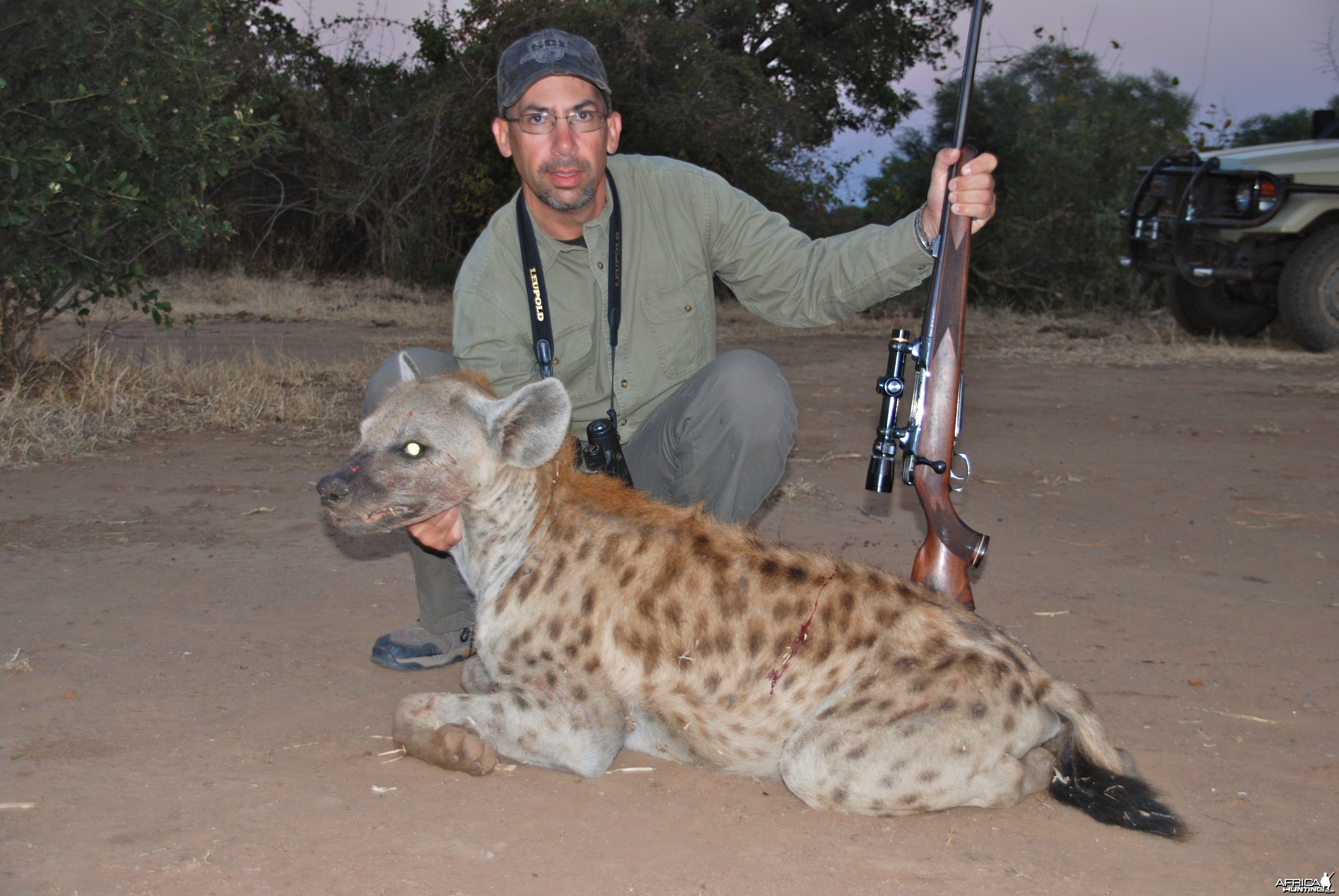 Zimbabwe Hyena 2012
