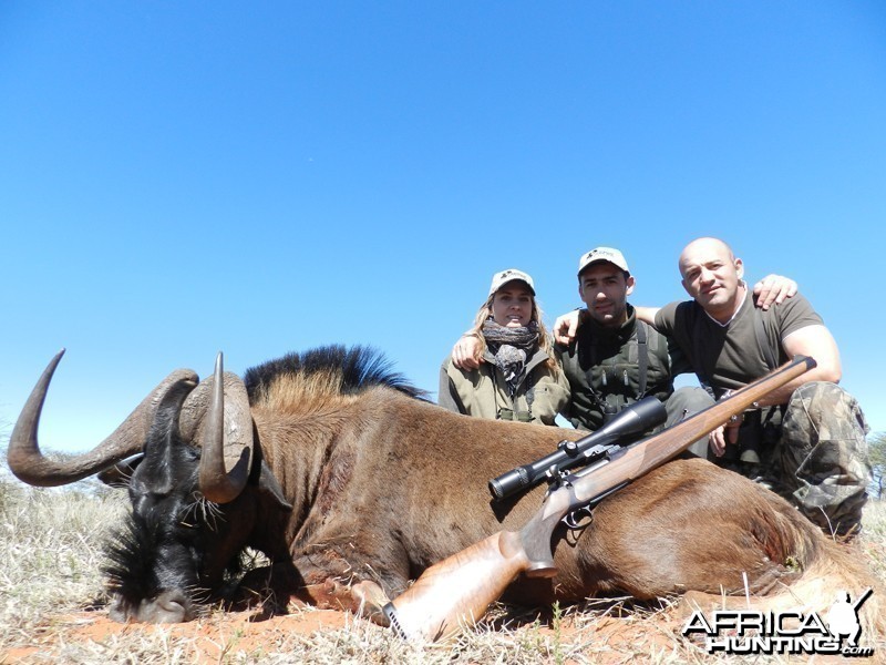 Black Wildebeest hunted with Wintershoek Johnny Vivier Safaris