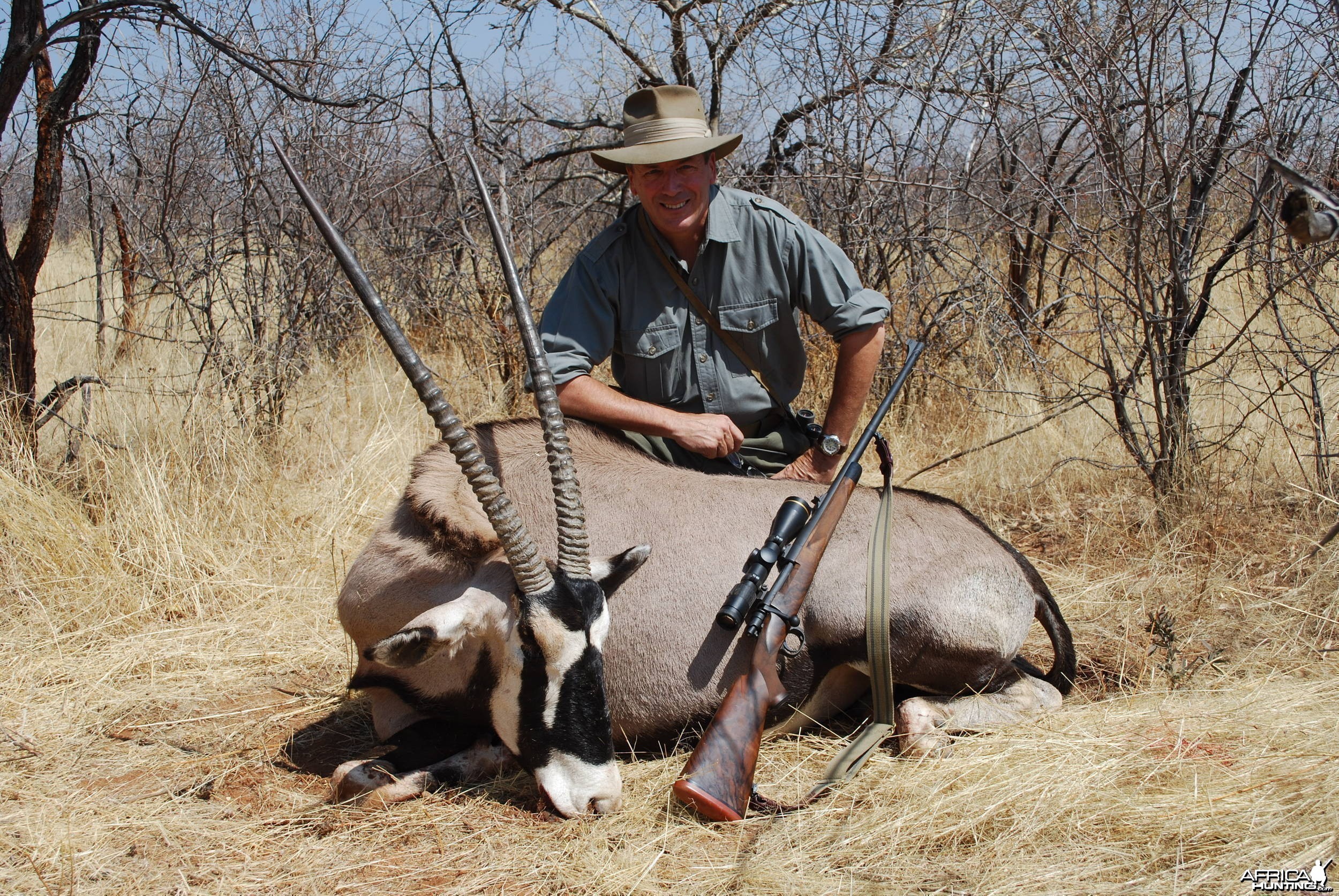 Namibian Oryx Bull