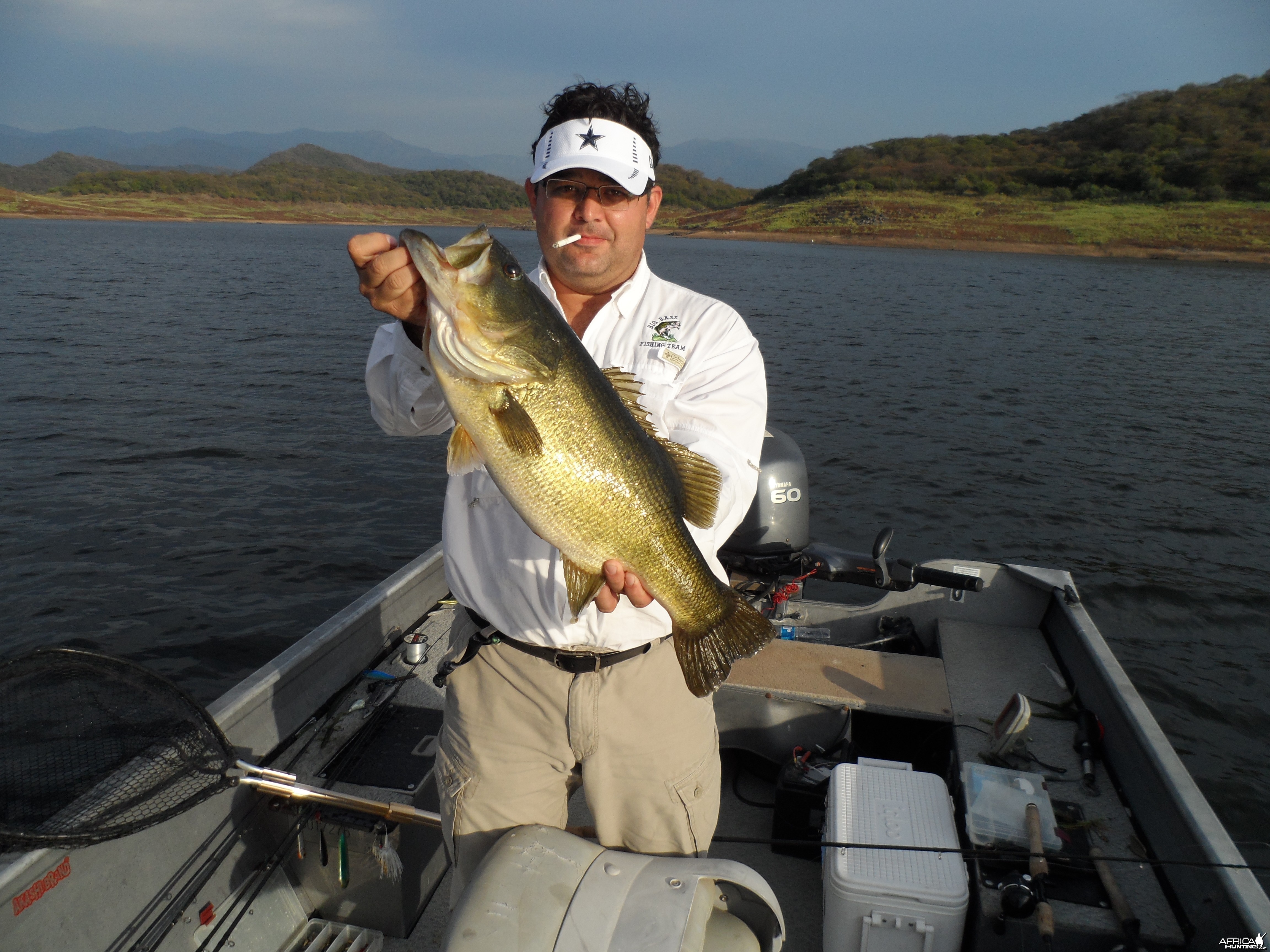 Bass of Sinaloa in Western Mexico