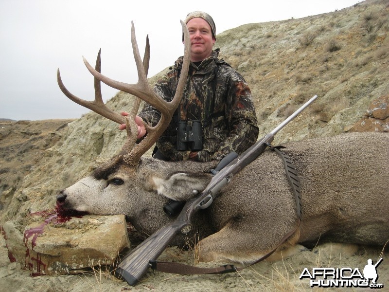 Alberta Mule Deer