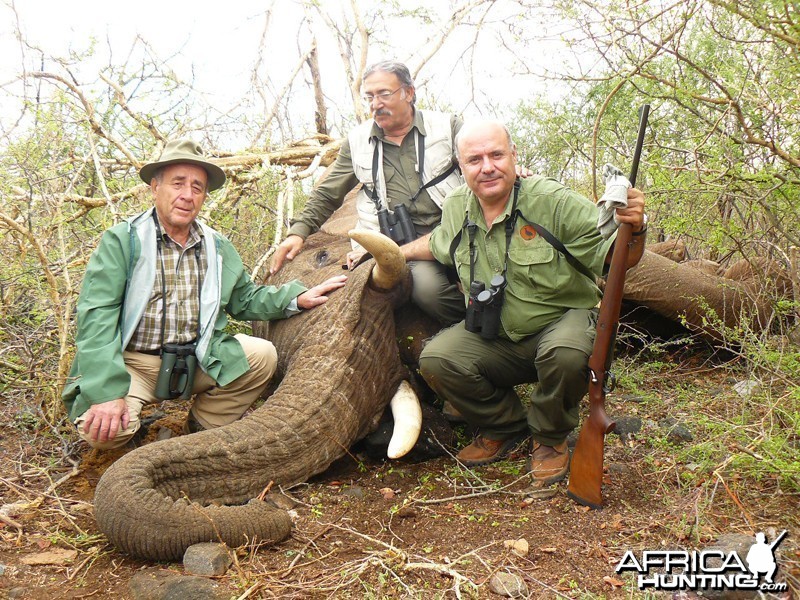 Elephant hunted with Wintershoek Johnny Vivier Safaris