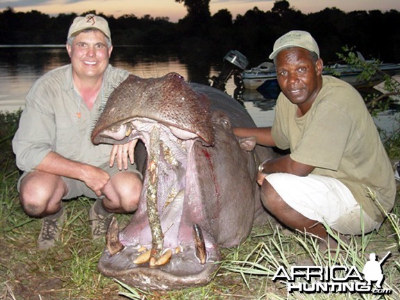 Hunting Hippo Zimbabwe