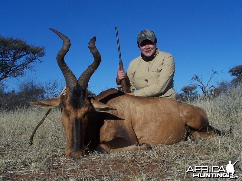 Red Hartebeest hunted with Wintershoek Johnny Vivier Safaris