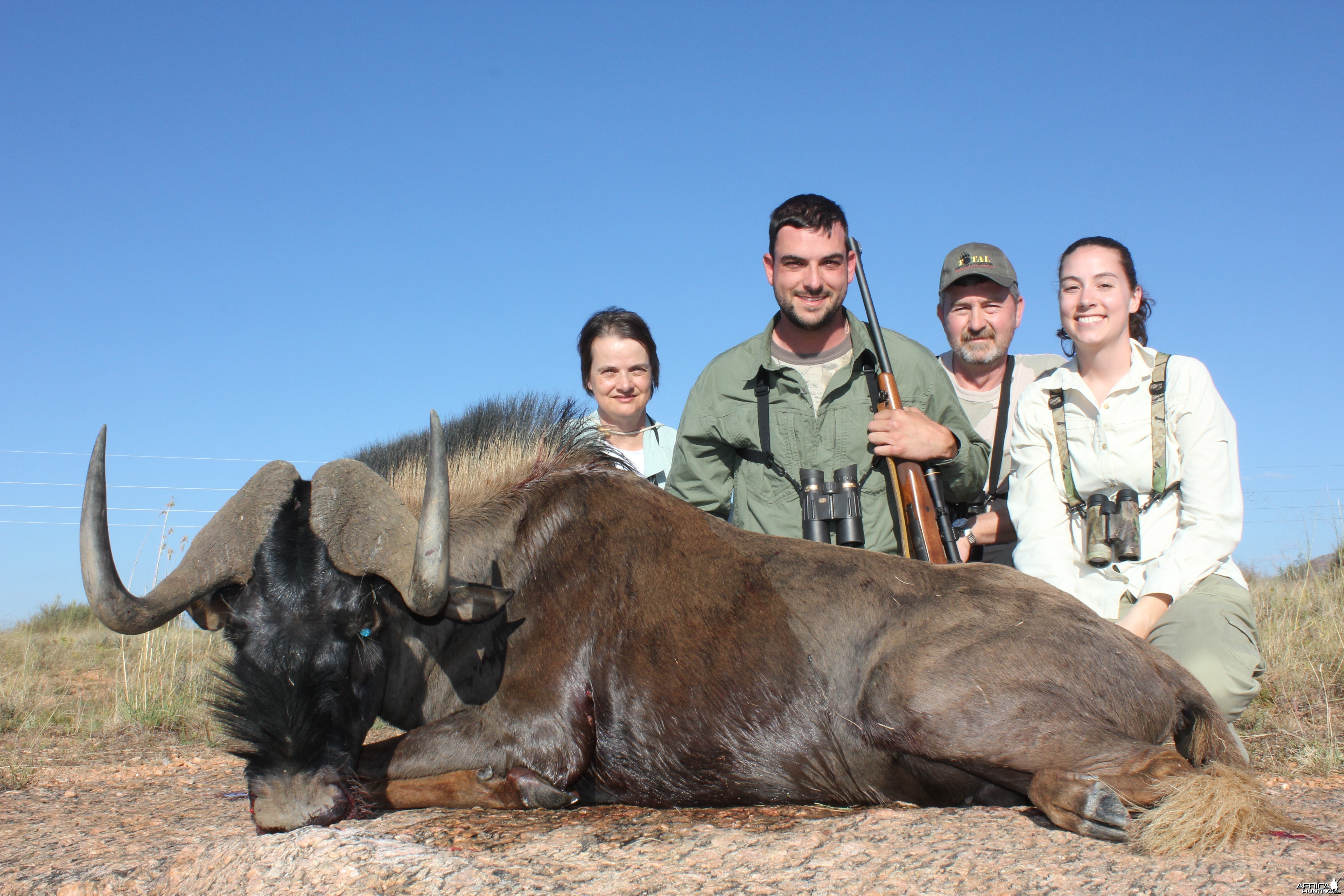 Black Wildebeest Namibia 2012