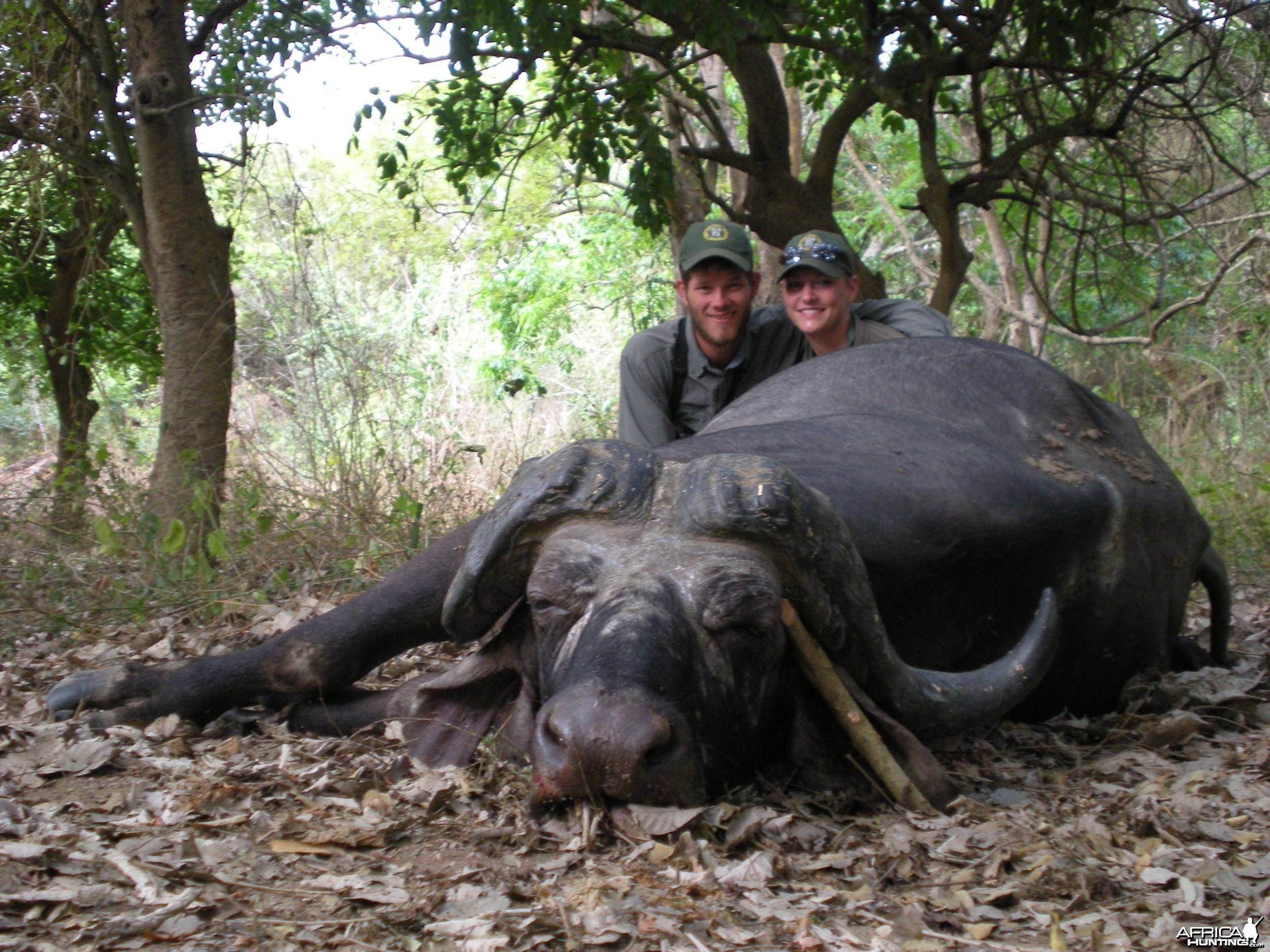 Selous RU1 Cape Buffalo