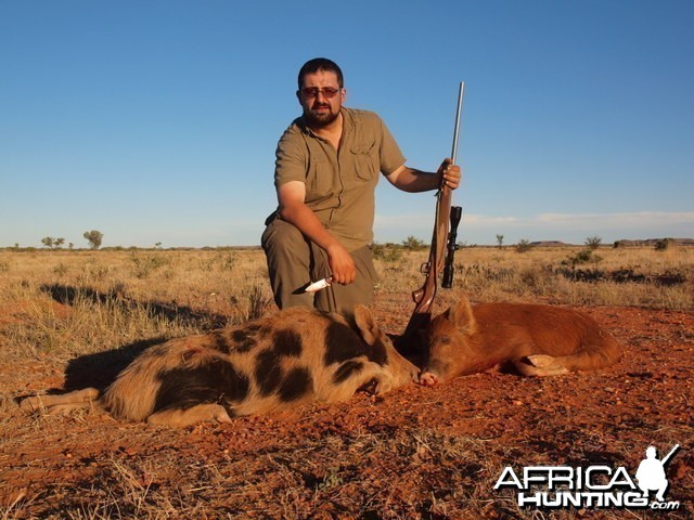 Hunting Feral Pigs in the Australian Outback