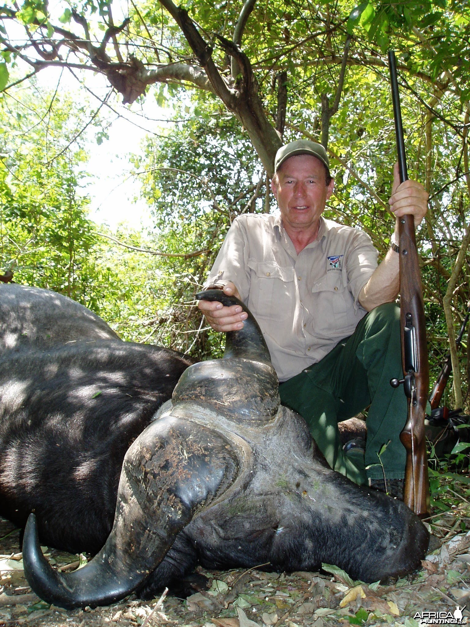 Gonabisi Tanzania Cape Buffalo