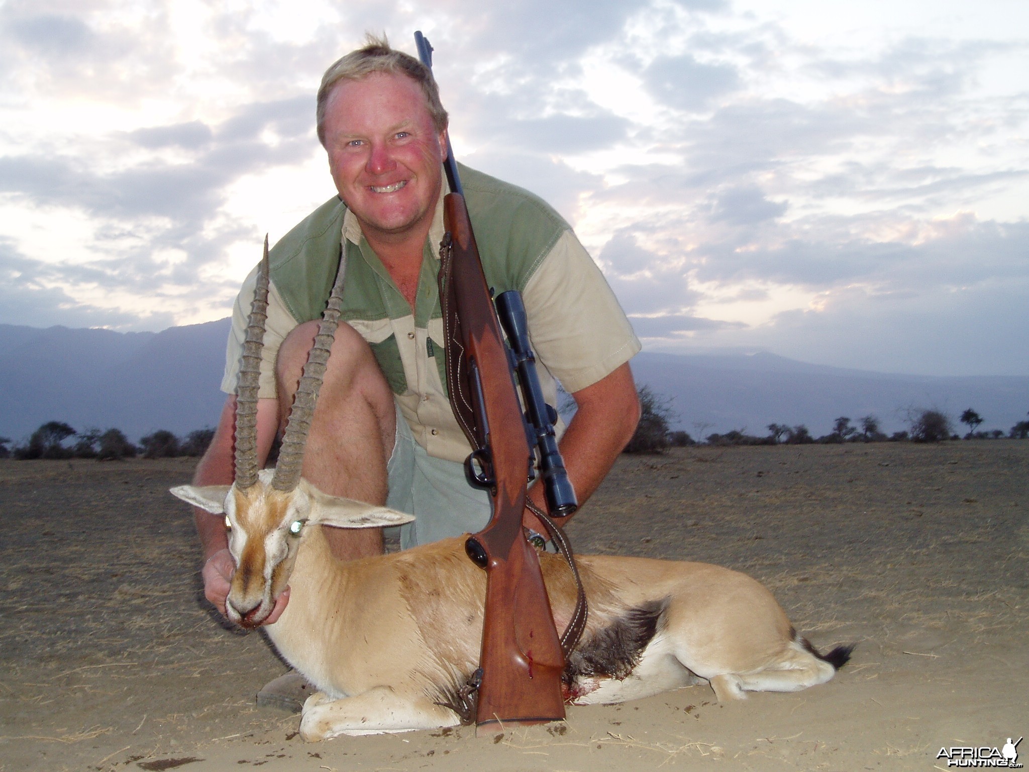 Thomson's Gazelle Tanzania