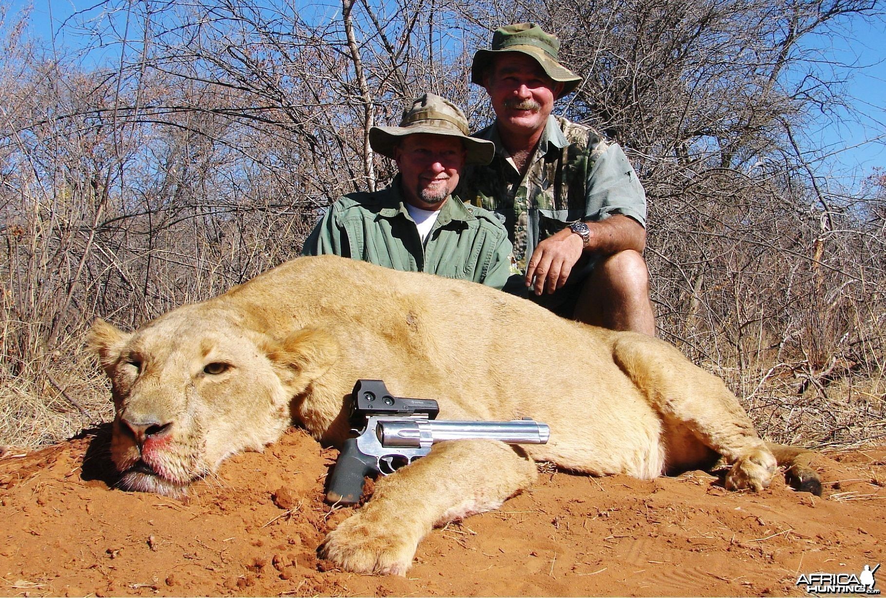 Lion hunt with Africa Hunt Lodge - My Photo Gallery