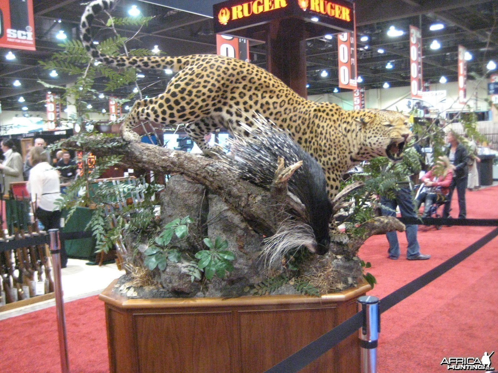 Taxidermy at Safari Club International Convention