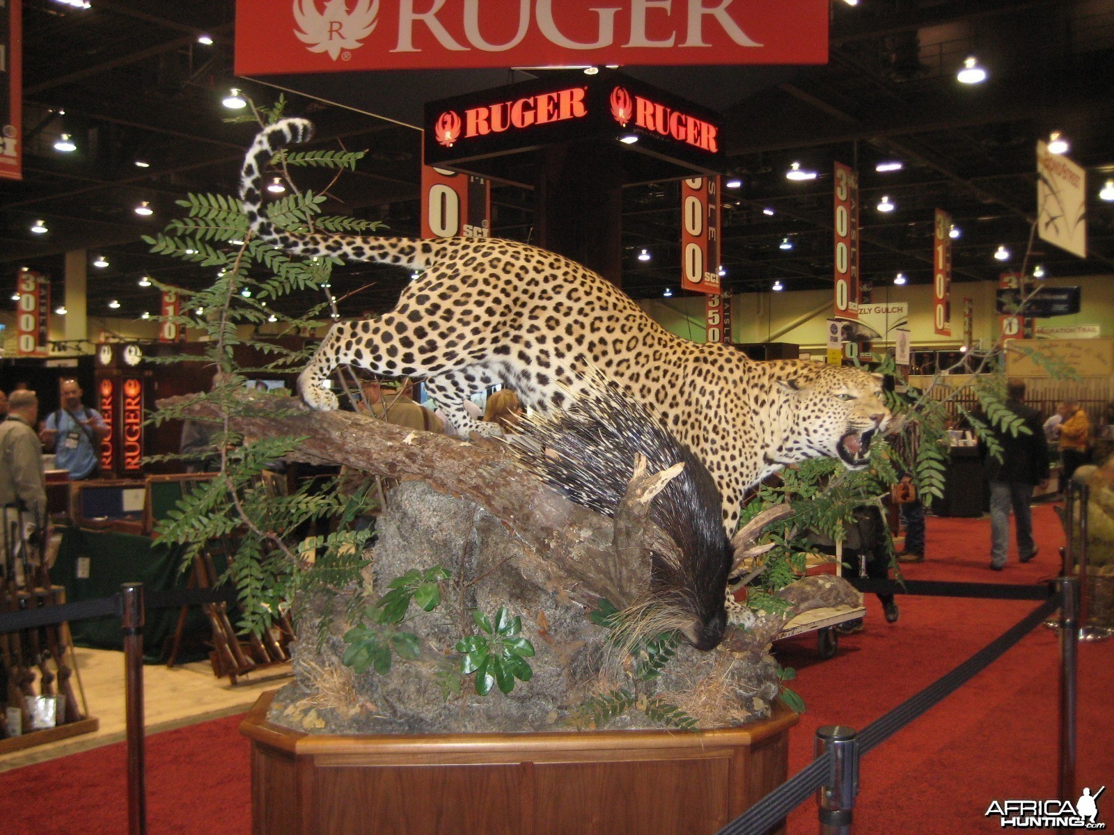 Taxidermy at Safari Club International Convention