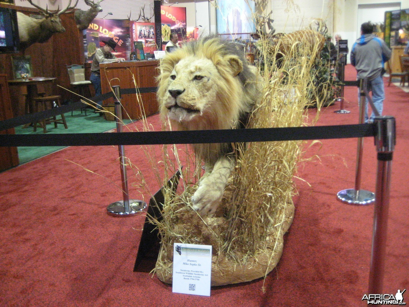 Taxidermy at Safari Club International Convention