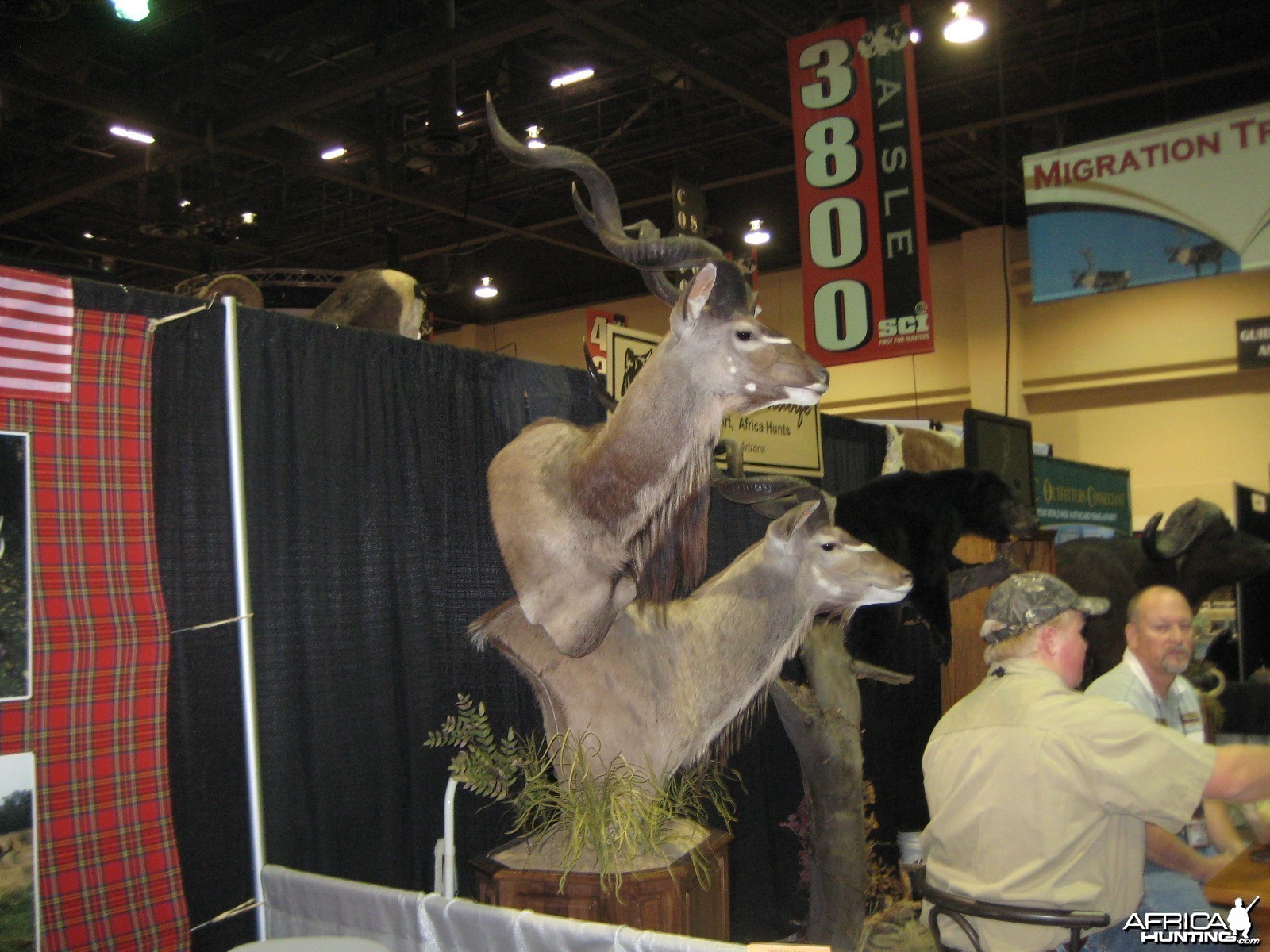 Taxidermy at Safari Club International Convention