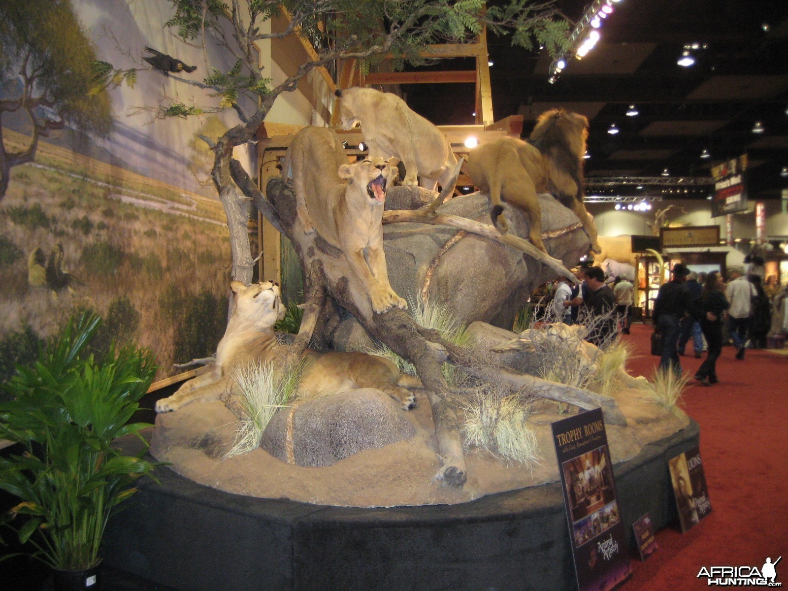 Taxidermy at Safari Club International Convention