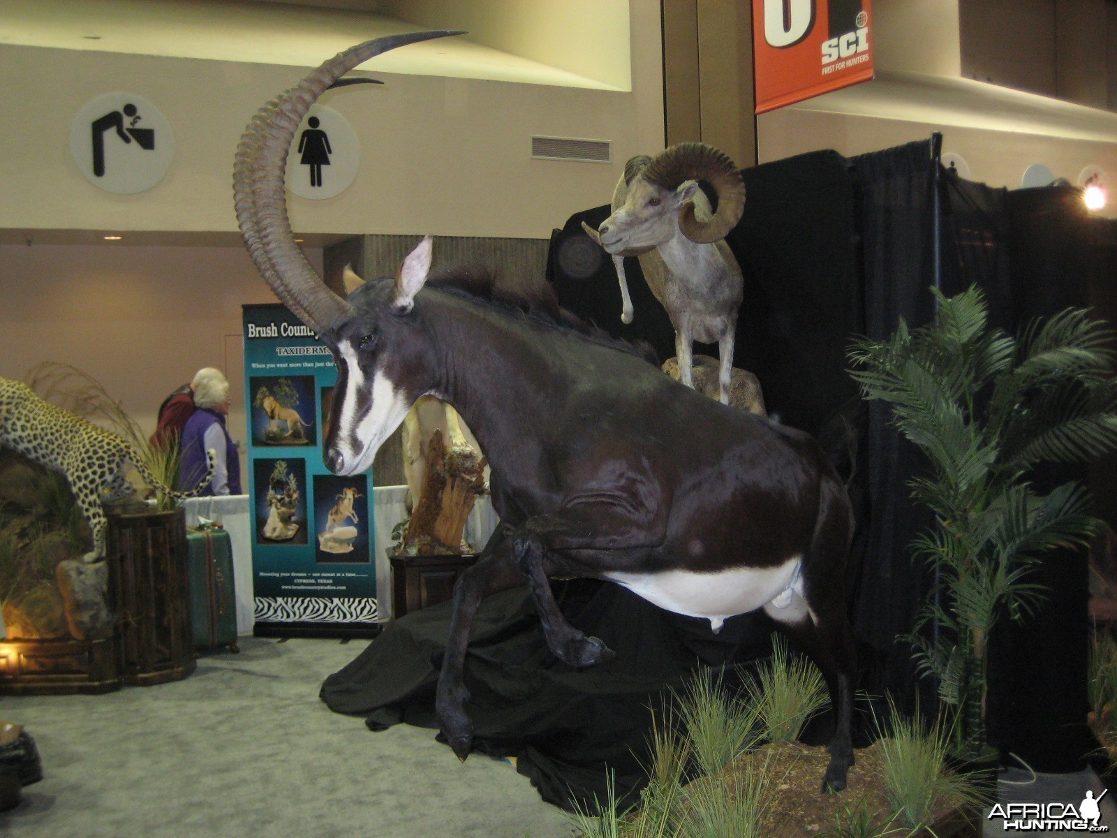 Taxidermy at Safari Club International Convention