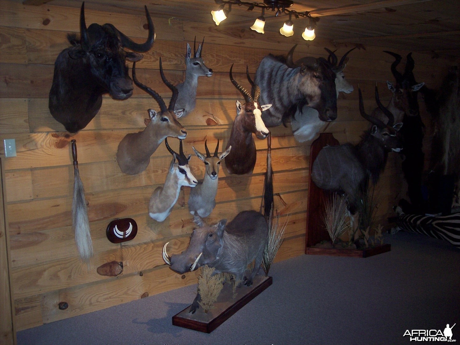 Trophy Room