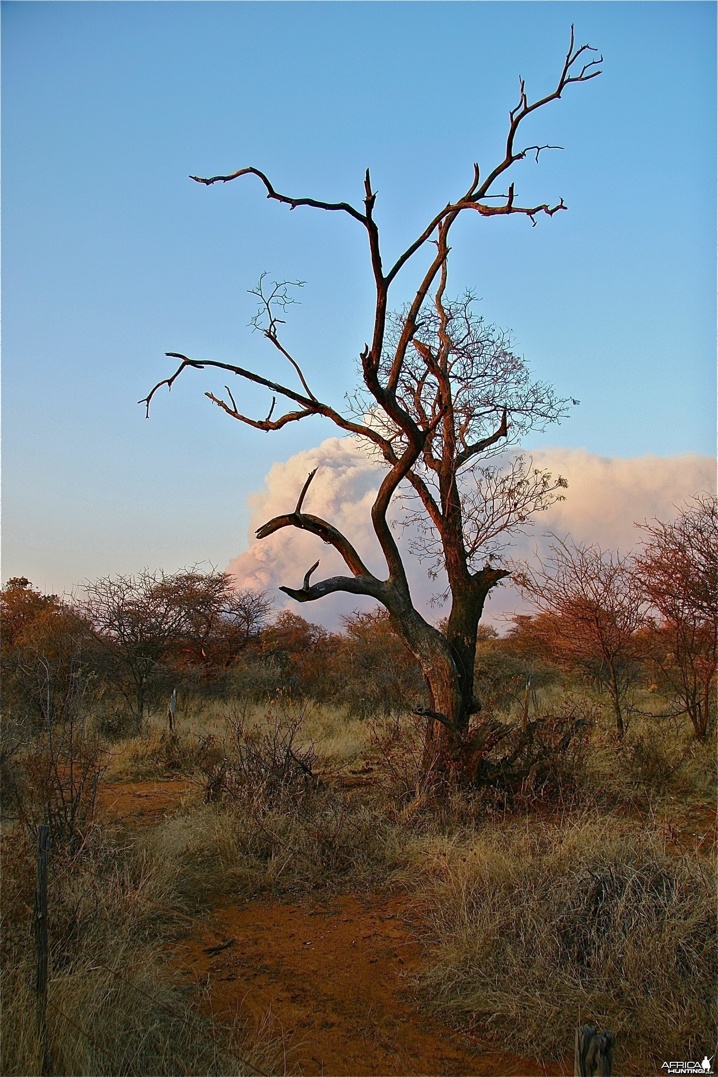 Otavi Mountains Burn