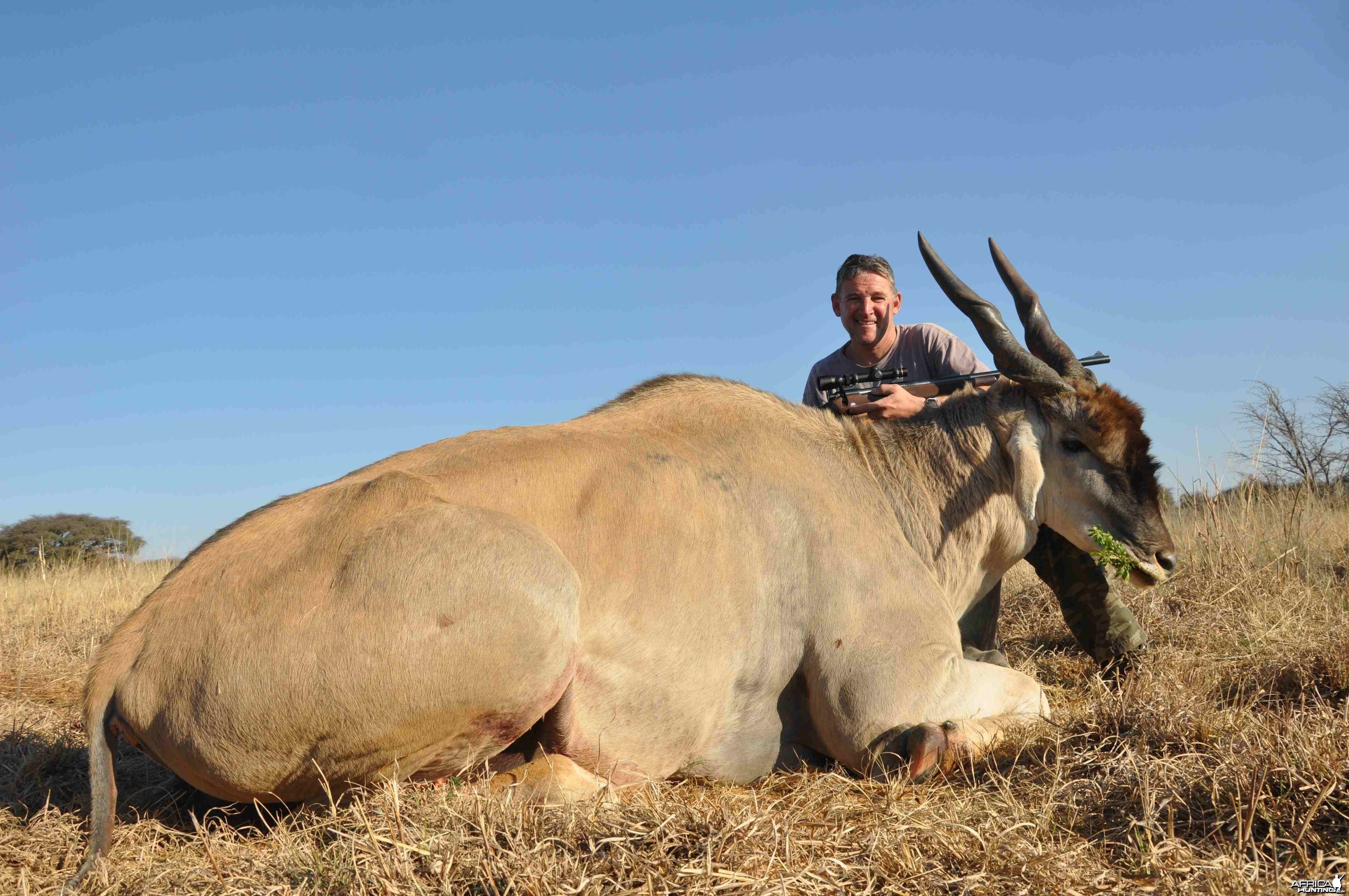 Massive Eland Bull