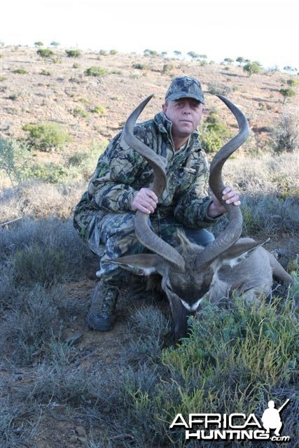 Kudu 46&quot;