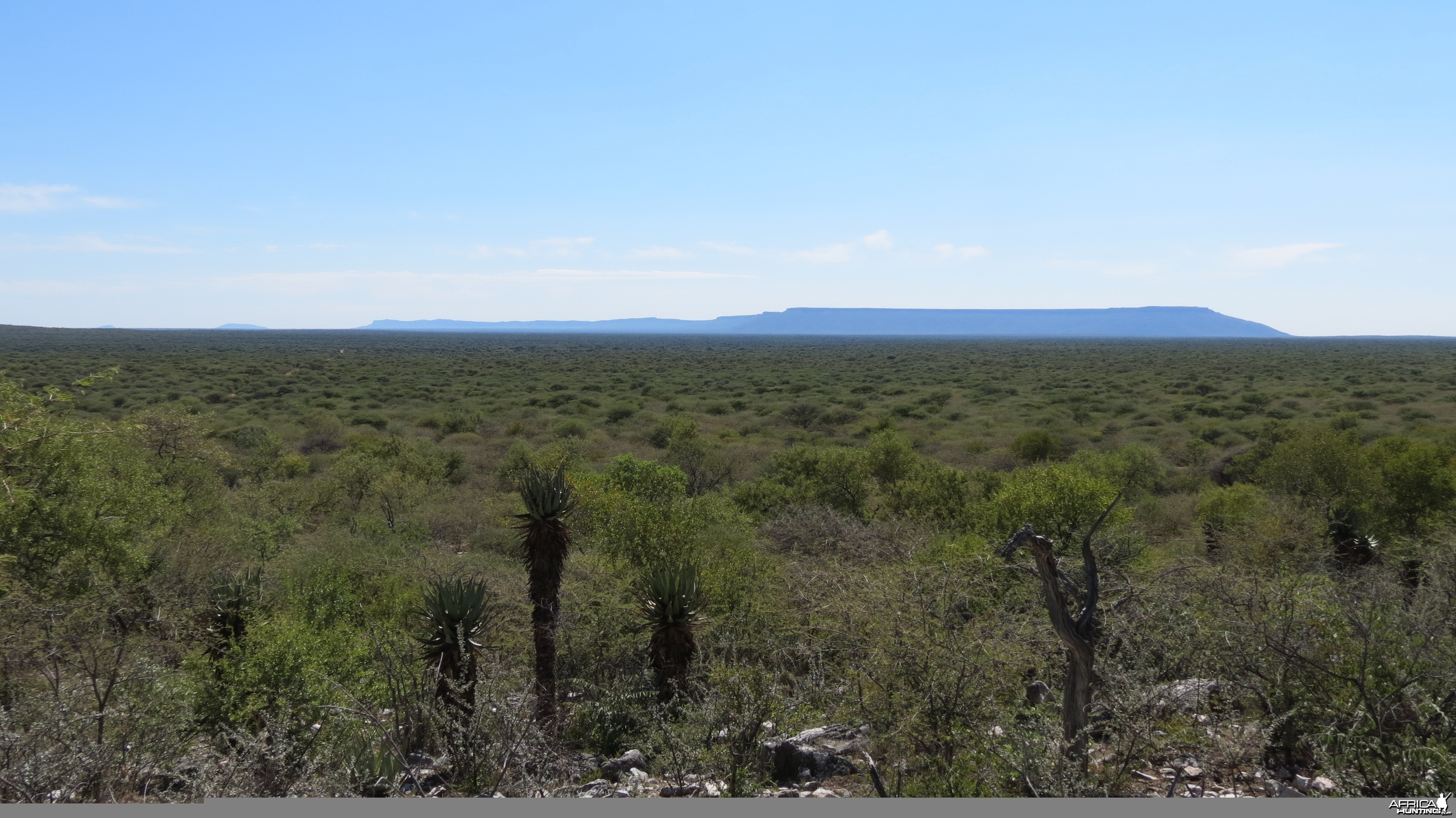 Waterberg Plateau Namibia