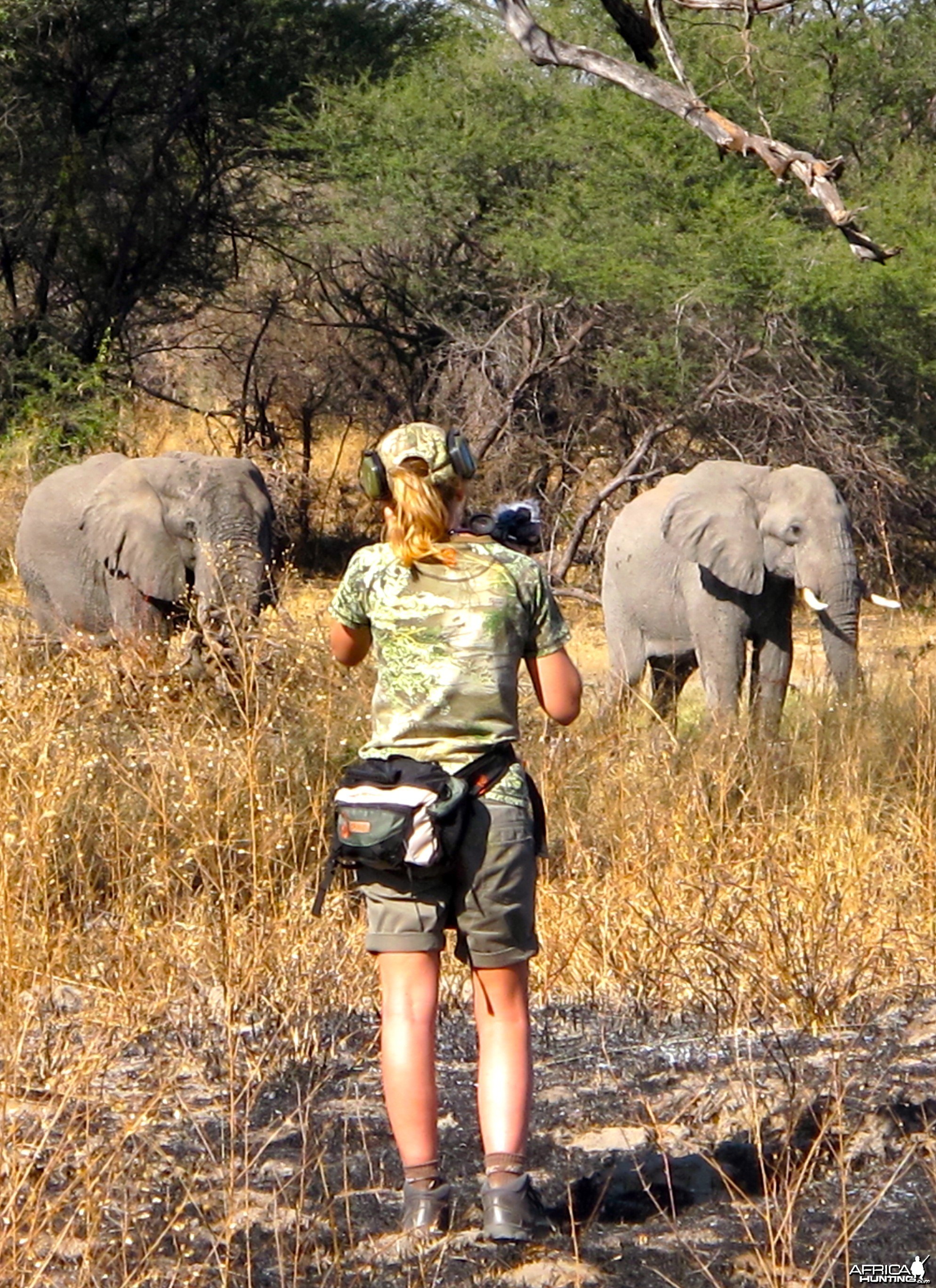 Elephant hunting in Caprivi