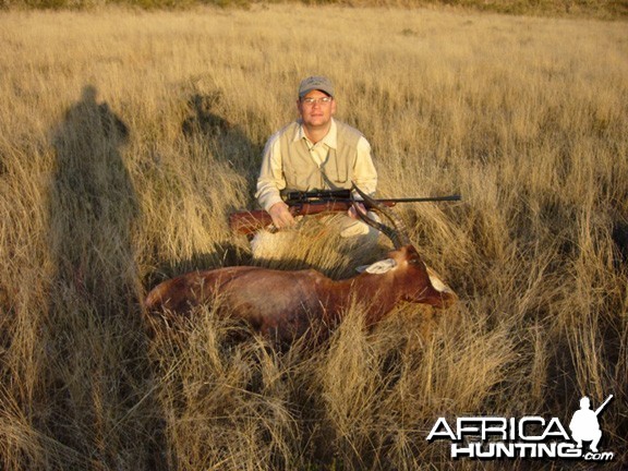 Hunting Blesbok South Africa