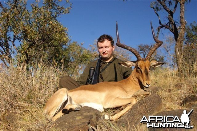 Hunting Impala