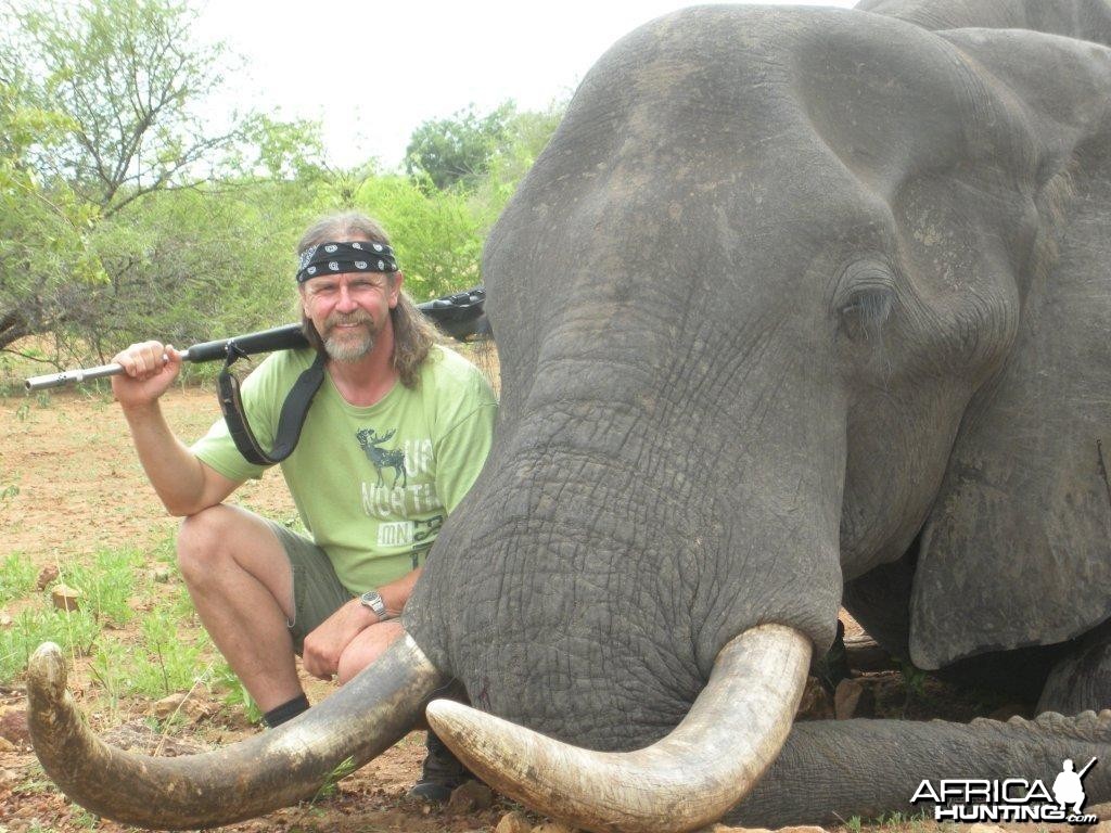 Elephant Sengwe 1 Big Game Area Zimbabwe