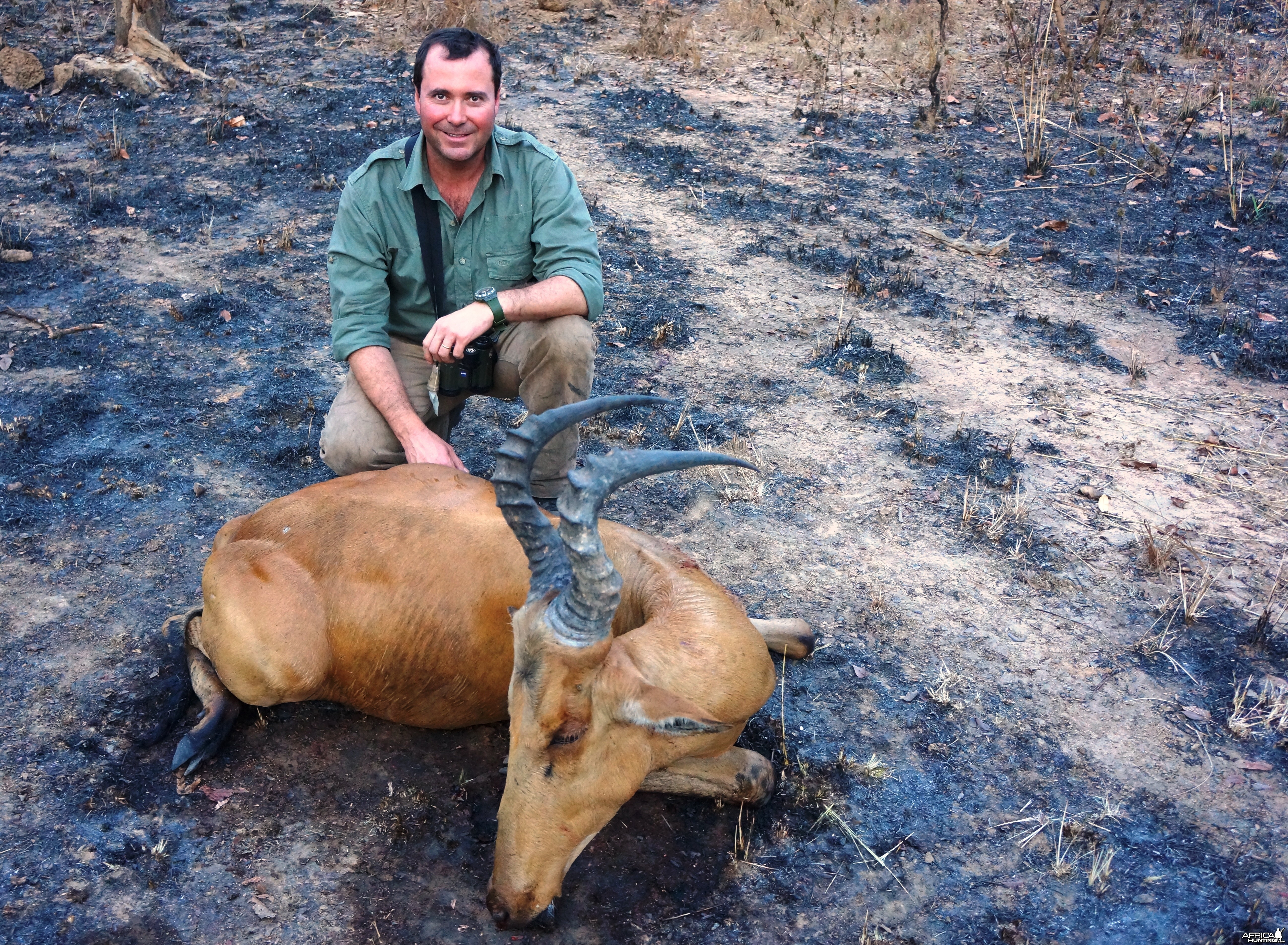 Lelwel Hartebeest CAR