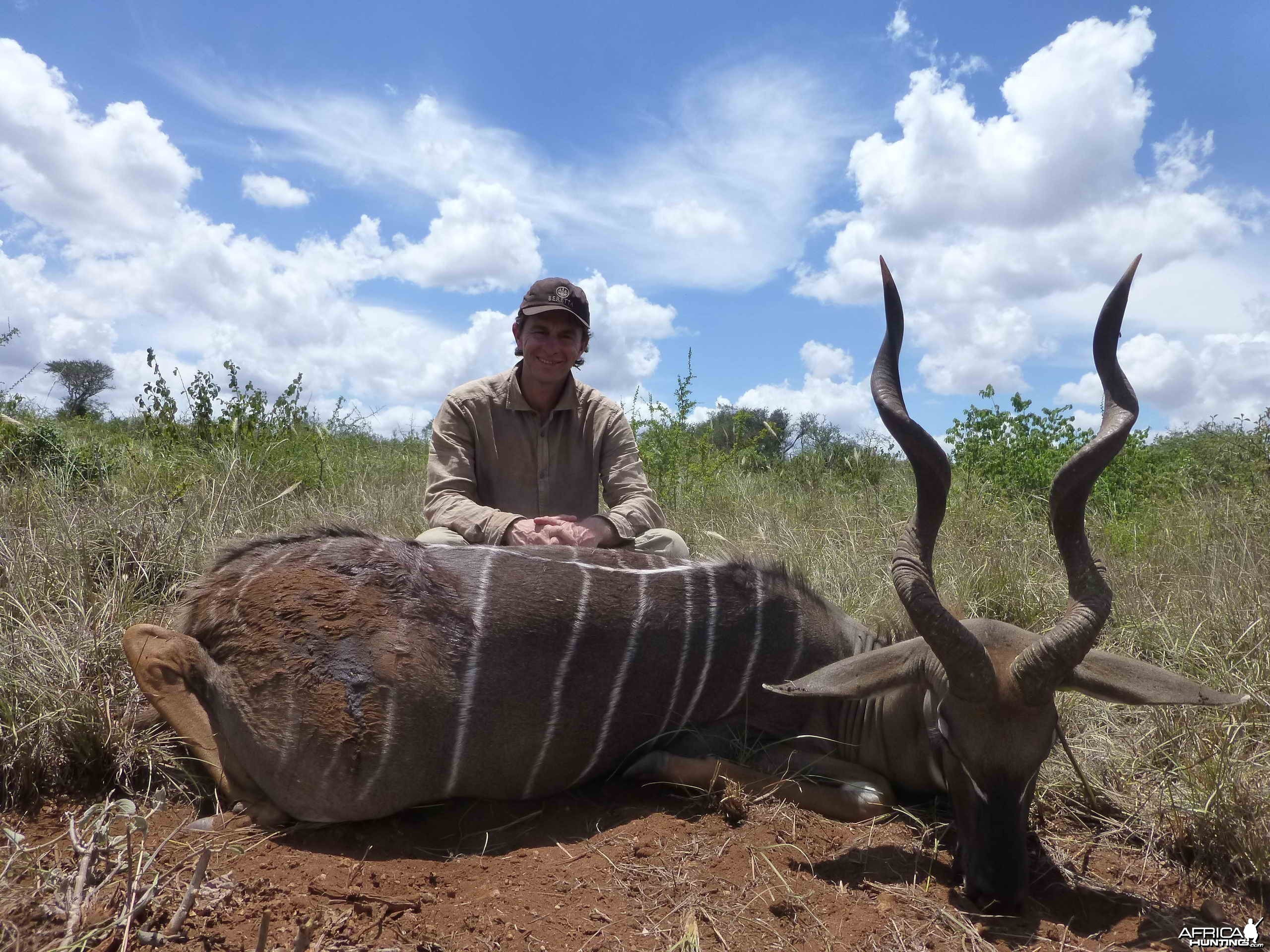 Lesser Kudu