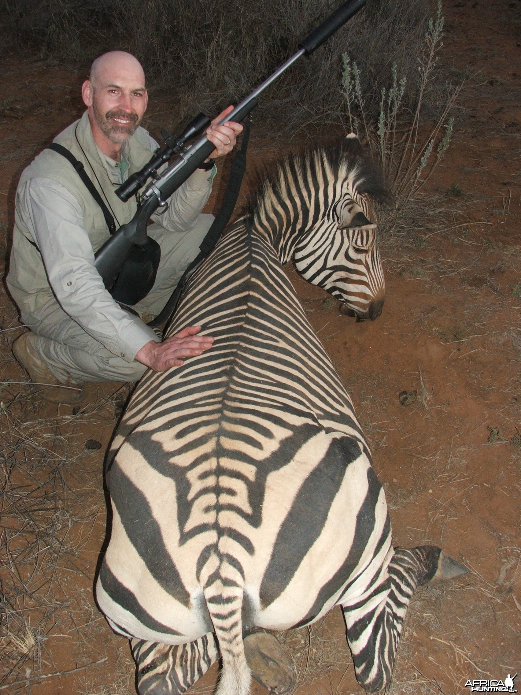 Hartmann's Mountain Zebra