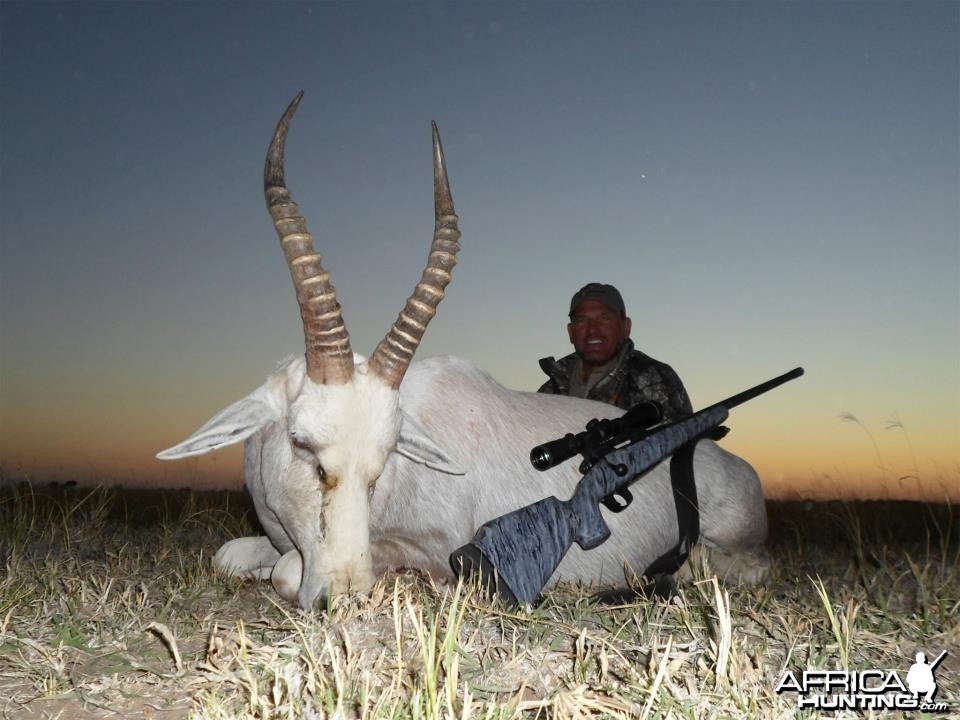 White Blesbok