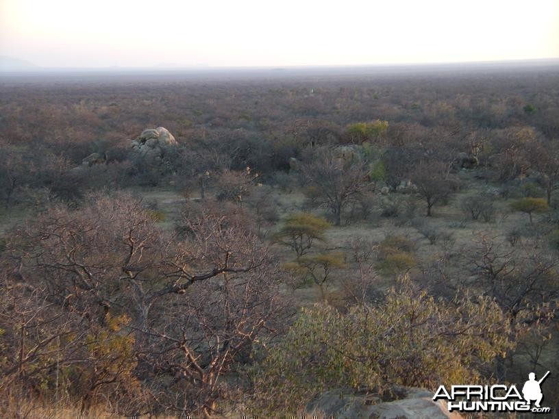 View of Kgaka Safaris