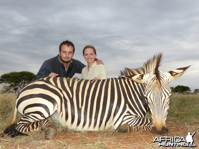Mountain Zebra hunt with Wintershoek Johnny Vivier Safaris