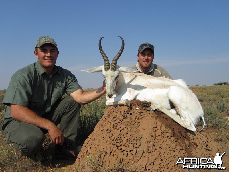 White Springbok hunt with Wintershoek Johnny Vivier Safaris