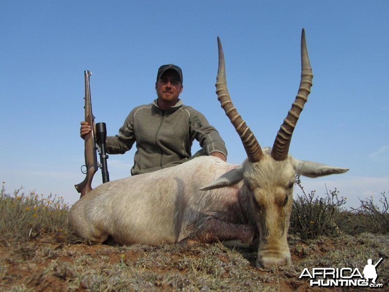 White Blesbuck hunt with Wintershoek Johnny Vivier Safaris