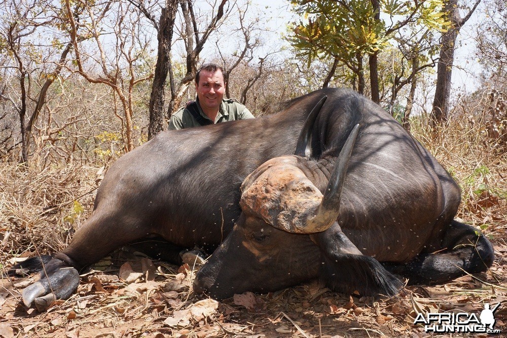 Buffalo hunt with CAWA in CAR