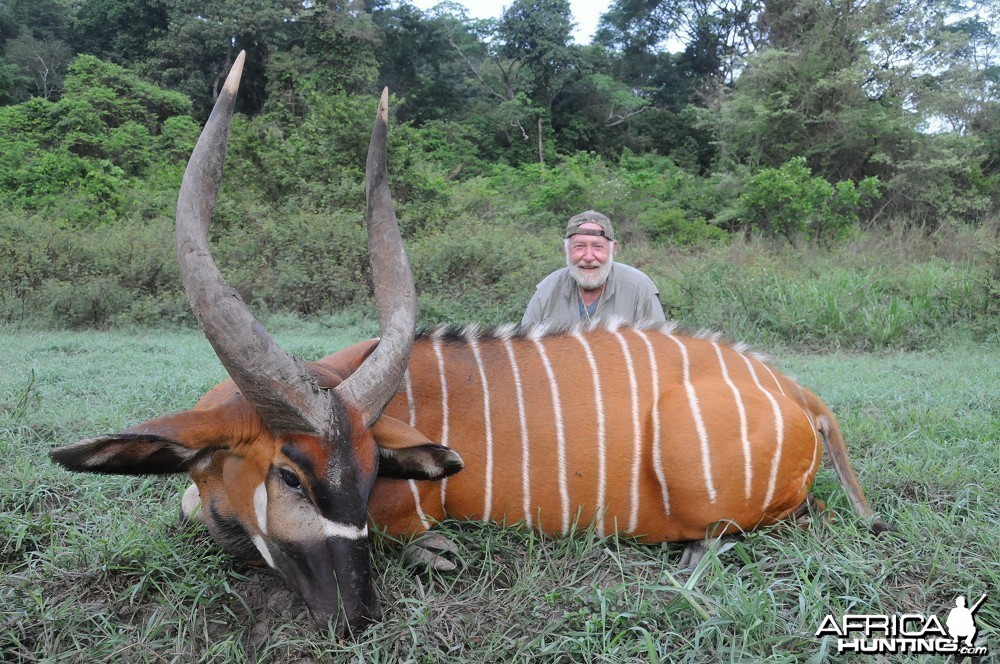 Bongo hunt with CAWA in CAR