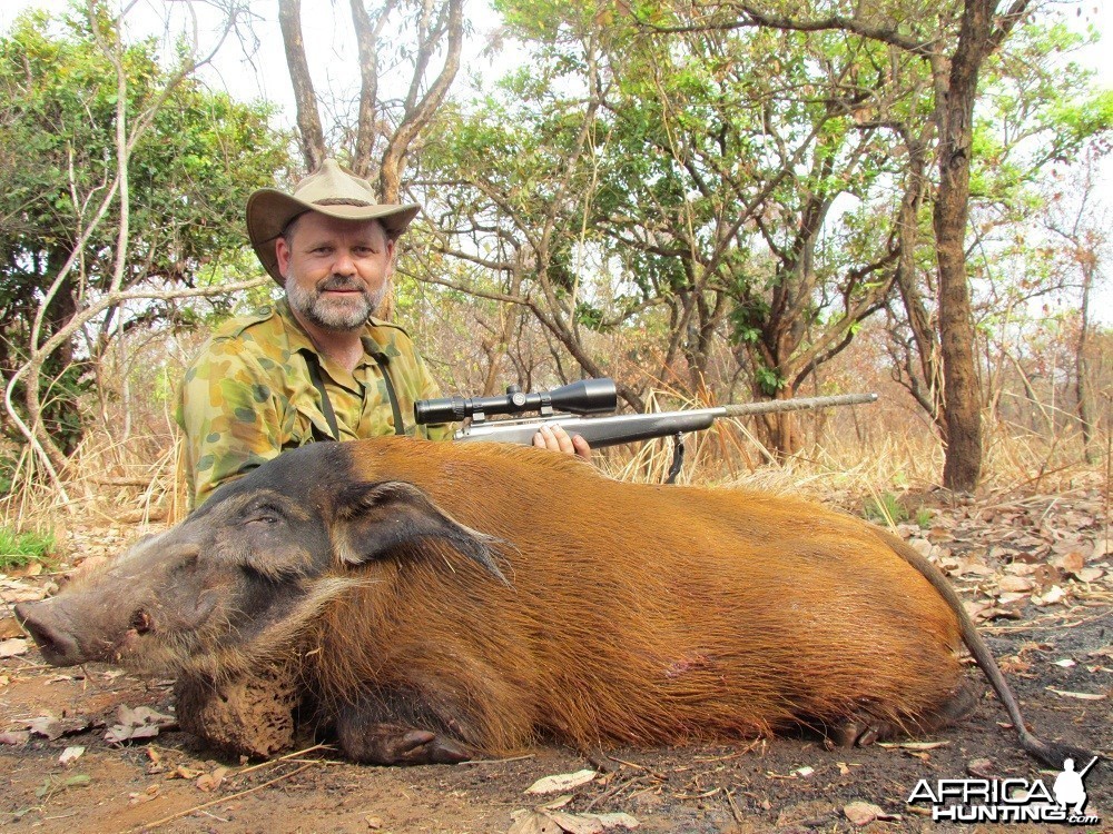 Red River Hog hunt with CAWA in CAR