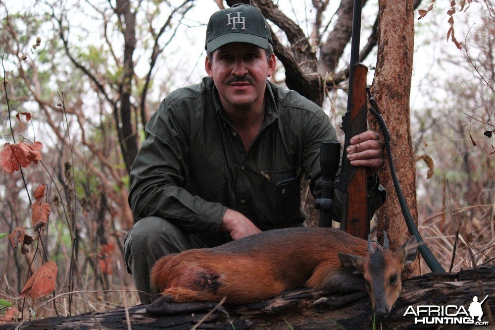 Red Flanked Duiker hunt with CAWA in CAR