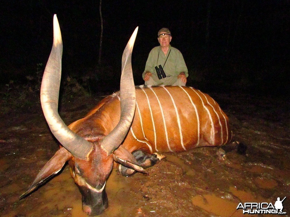 Bongo hunt with CAWA in CAR