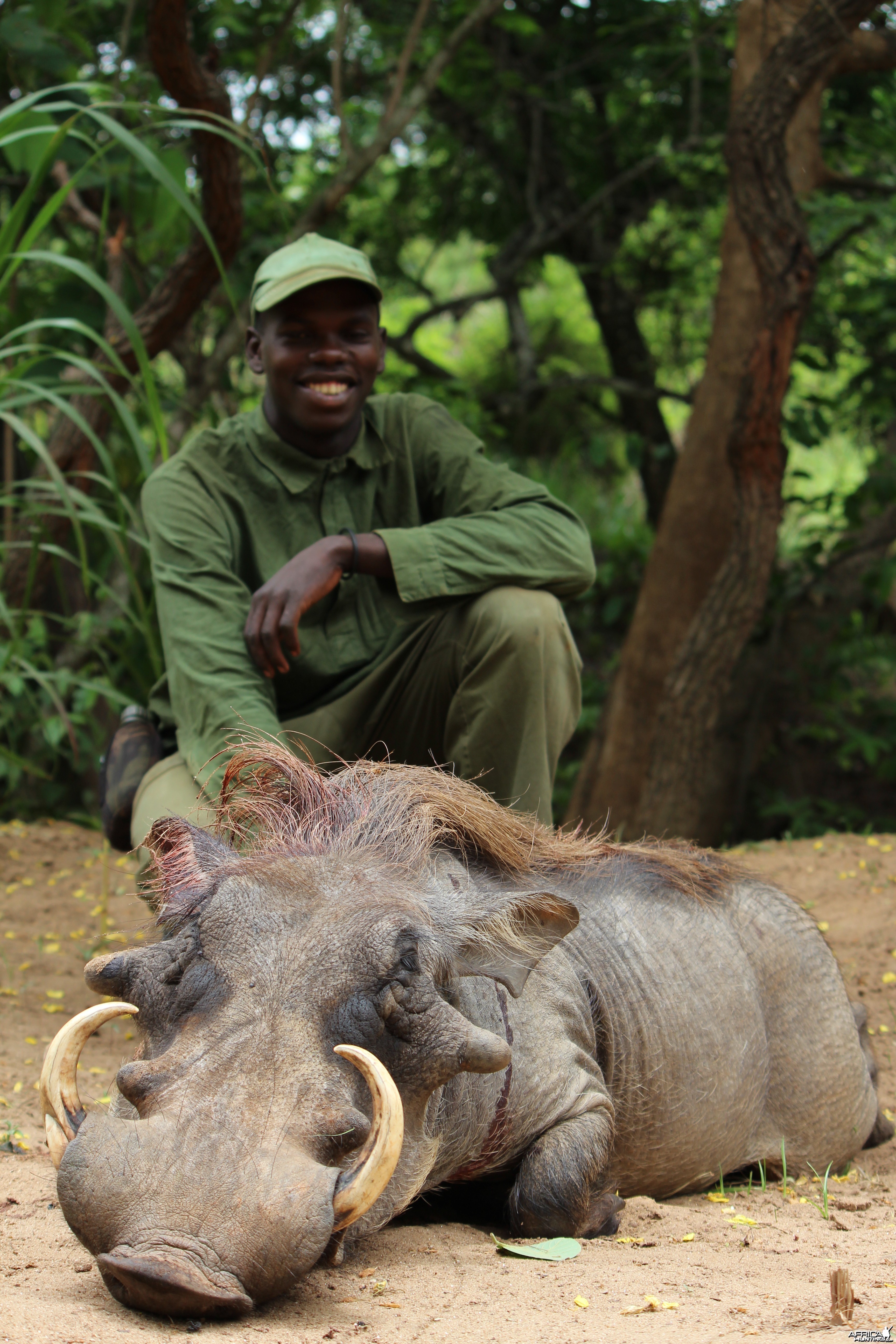 Warthog hunt with CAWA in CAR