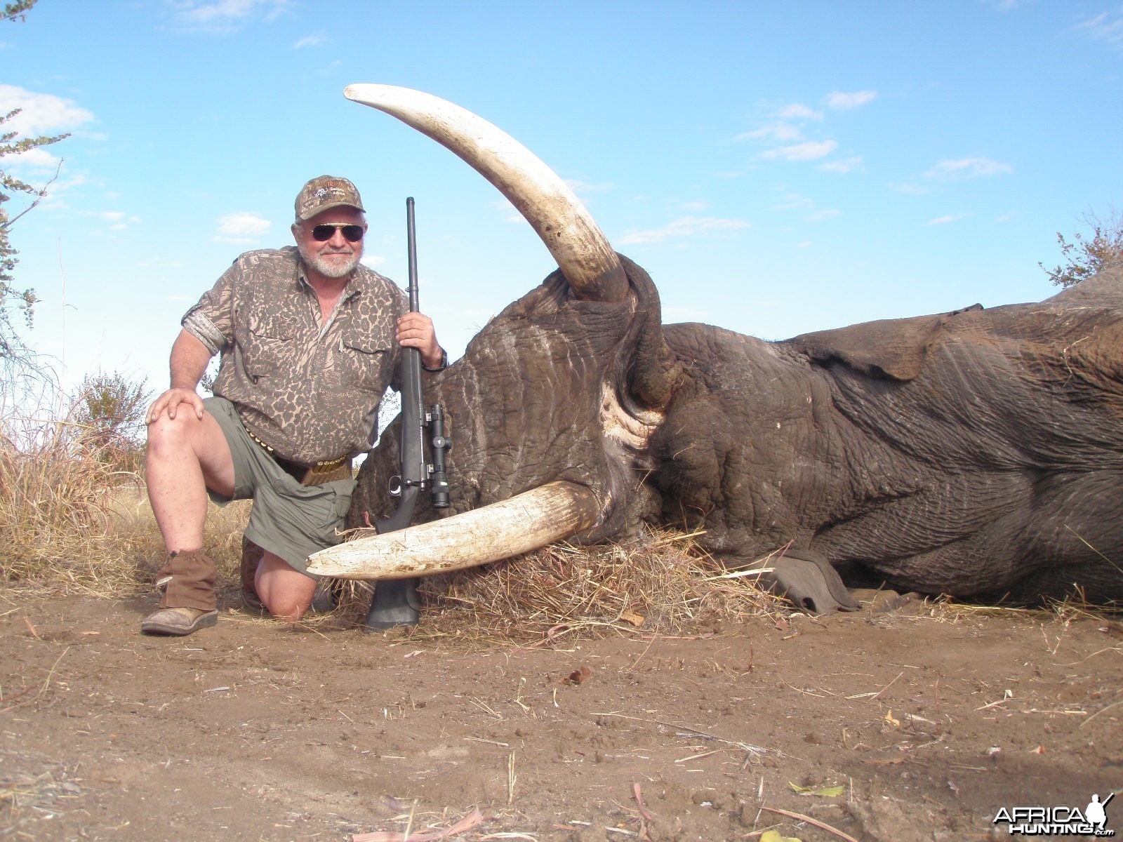 57 Lb. Botswana Elephant 2013