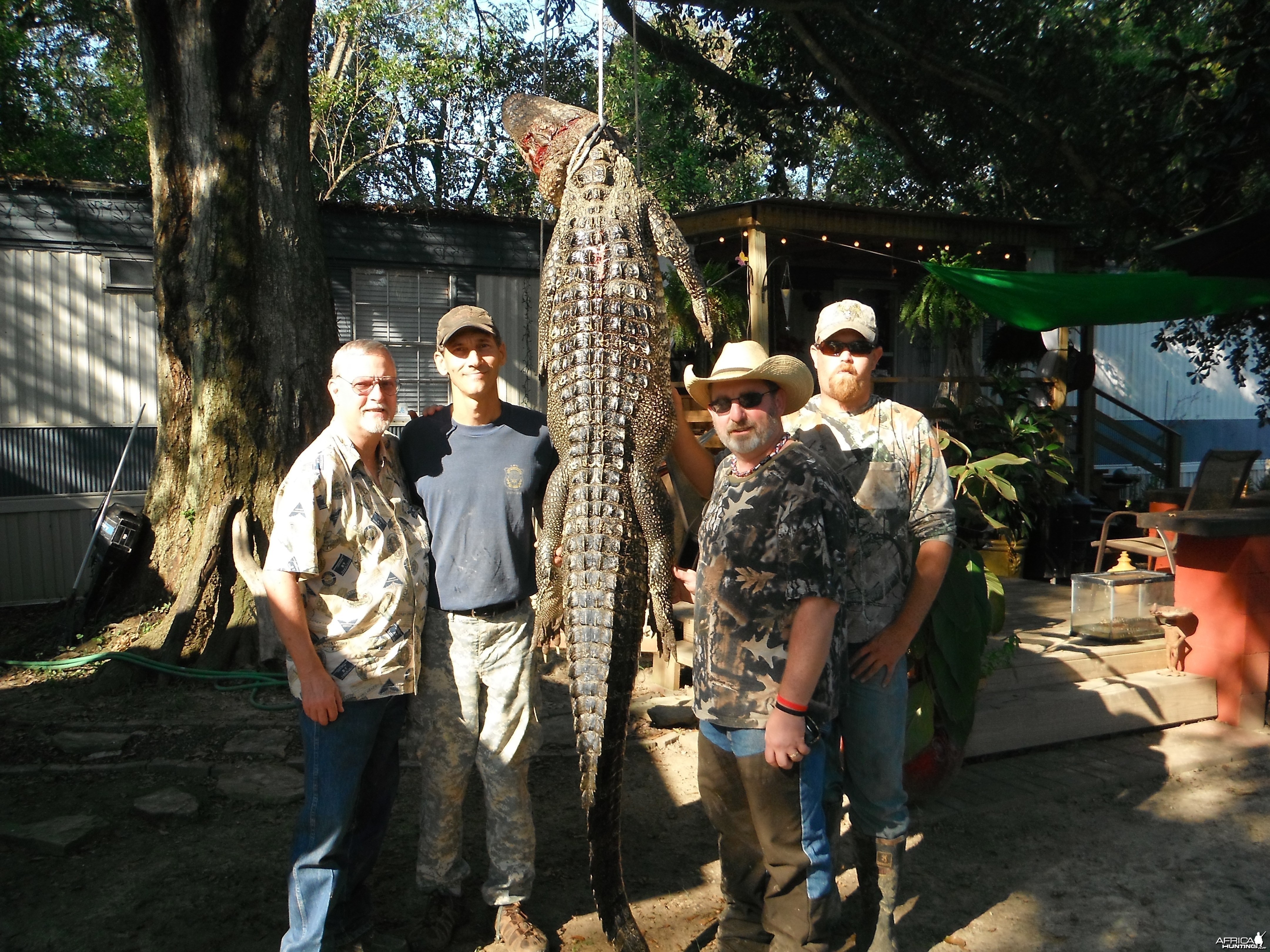 LOUISIANA ALLIGATOR HUNT