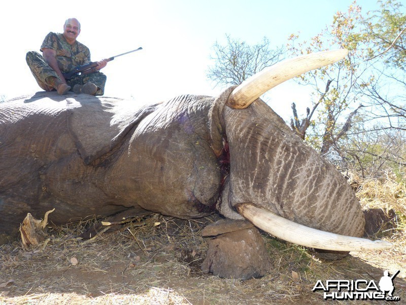 Elephant hunt with Wintershoek Johnny Vivier Safaris