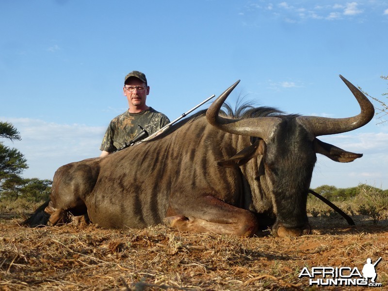 Blue Wildebeest hunt with Wintershoek Johnny Vivier Safaris