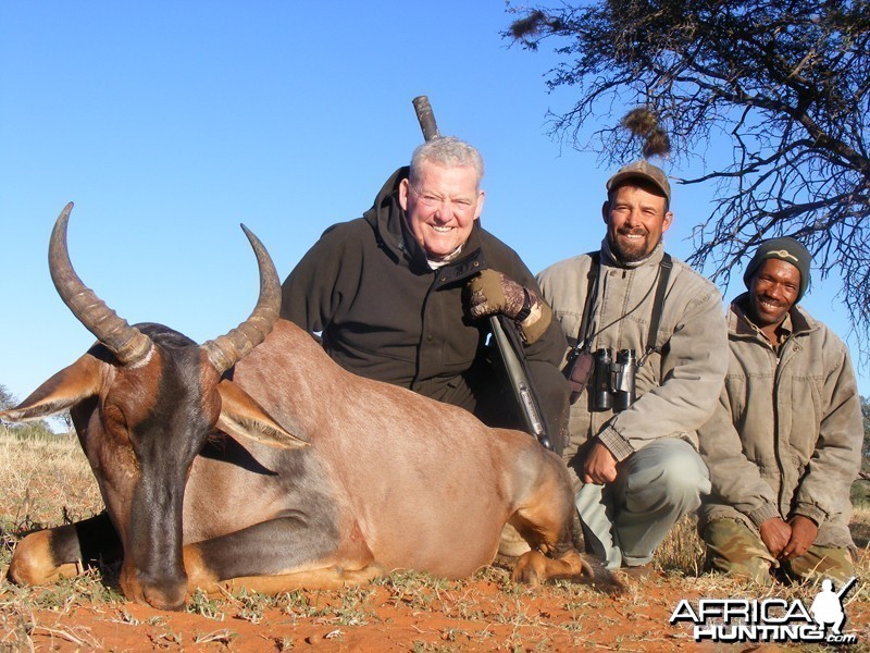 Tsessebe hunt with Wintershoek Johnny Vivier Safaris